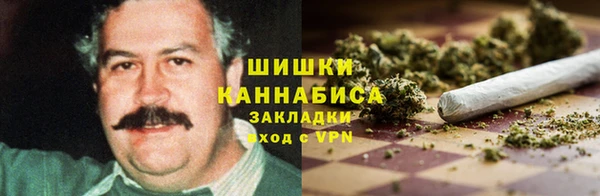 соль ск Алексин