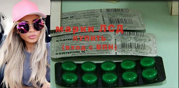 гашик Алексеевка
