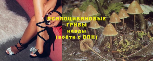 винт Алзамай