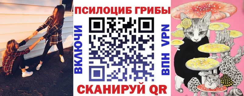 Псилоцибиновые грибы Magic Shrooms  дарнет шоп  Борзя 